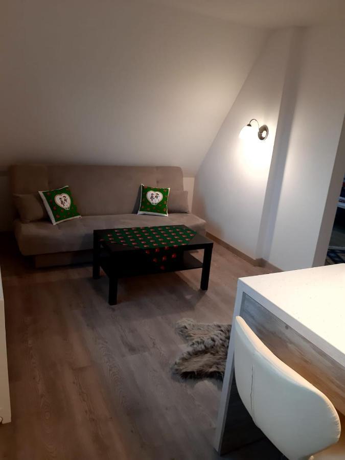 Apartamenty Z Widokiem Zakopane Exterior foto